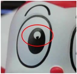 Overspray around a printed eye. The ellipse identifies the overspray example around the eye.