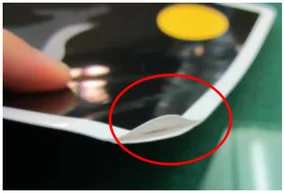 Page delamination. The ellipse marks the separation between layers of the page.