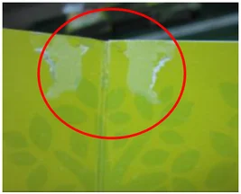 Damaged green book page. The ellipse marks damage to the printed page surface.