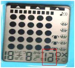Missing LCD segments: numeric area. The small rectangle identifies the affected numeric display area.
