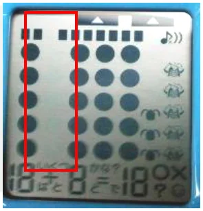 Missing LCD segments: left display area. The original red rectangle locates the affected left-hand display area.