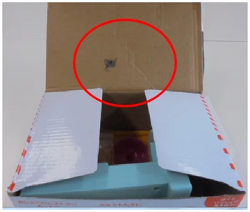 Insect on the inside of a carton. The red ellipse marks the insect on the inside flap.