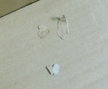 Paper scraps inside a carton in a packaging contamination training example